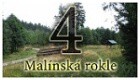 Malnsk rokle